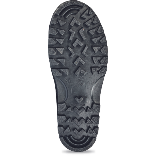 8959968903198-02040011_POLAR_sole_CERVA 2018_20054.tif.png